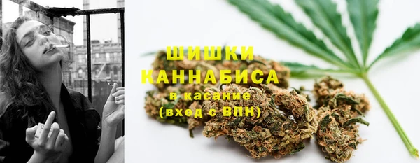 дмт Лабытнанги