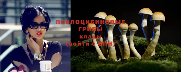 дмт Лабытнанги