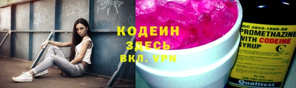 дмт Лабытнанги