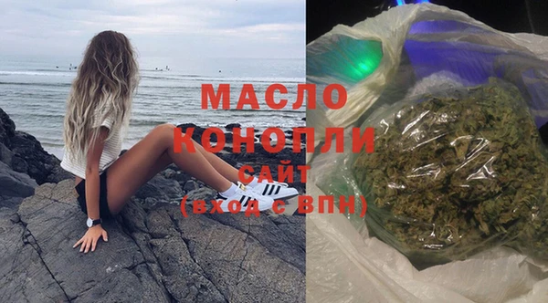 индика Ветлуга