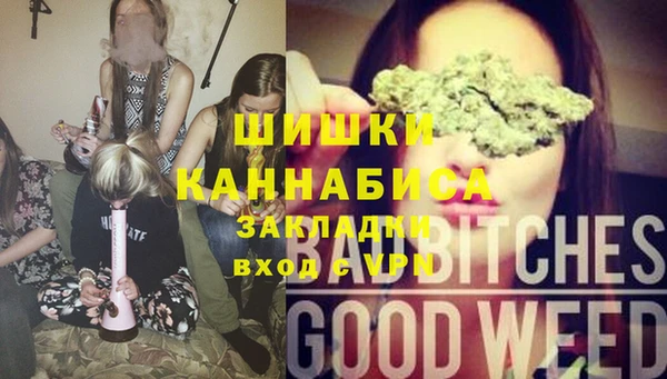 гидра Ладушкин