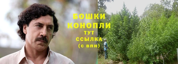 дмт Лабытнанги