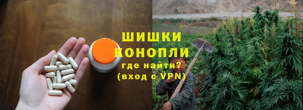 дмт Лабытнанги