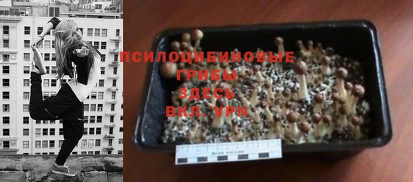 MDMA Premium VHQ Лагань