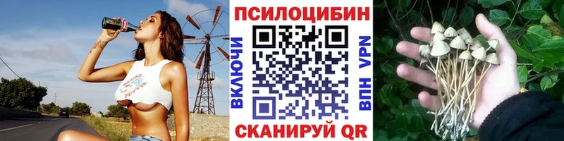 Псилоцибиновые грибы ЛСД  omg   Мещовск 